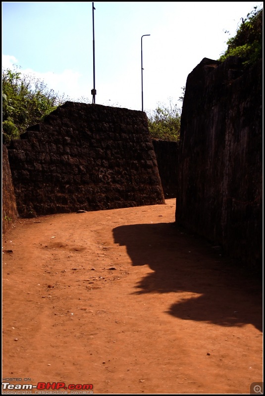 Sakleshpur - To reach for the skies-dsc05872.jpg