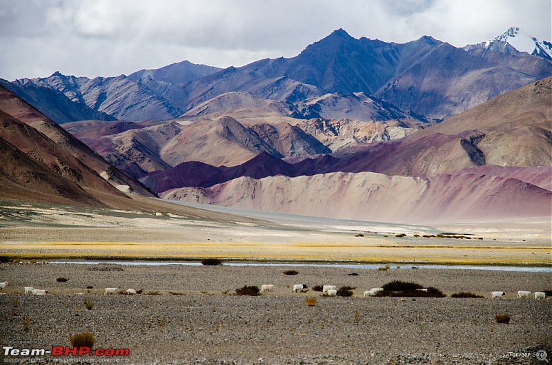 18 Passes, 15 lakes and 2 breakdowns : Ladakh and Lahaul call again-dsc_dsc_6711_lrxl.jpg
