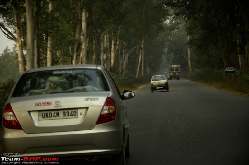 Uttarakhand : A Bone-Chilling Winter Vacation in the "Land of Gods"-_dsc1309.jpg