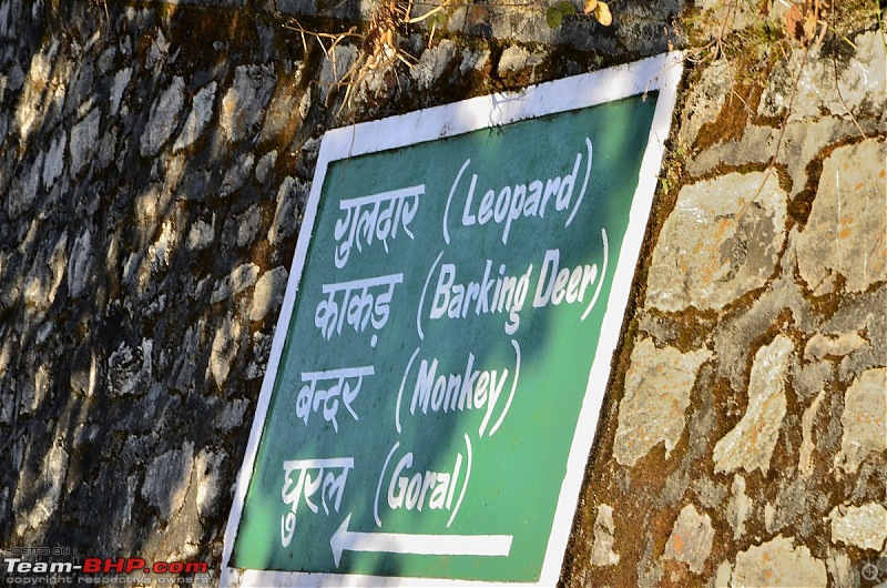 Uttarakhand : A Bone-Chilling Winter Vacation in the "Land of Gods"-_dsc1844.jpg