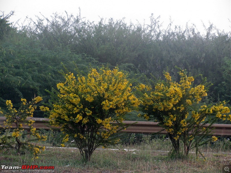 Lightning visit to Goa!-tbhp15.jpg