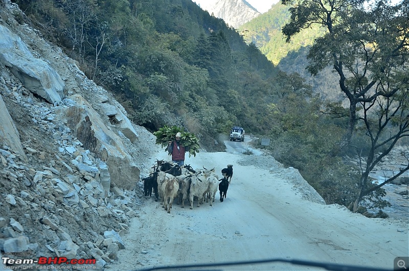Uttarakhand : A Bone-Chilling Winter Vacation in the "Land of Gods"-_dsc2368.jpg
