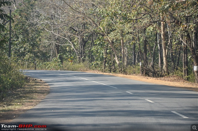 Lightning visit to Goa!-dsc_0050.jpg