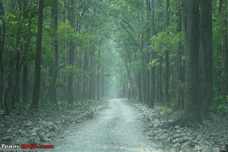 Uttarakhand Trip : Mahavatar Babaji Cave, Dunagiri, Jageshwar Jyortling & Sitabani-img_8714.jpg