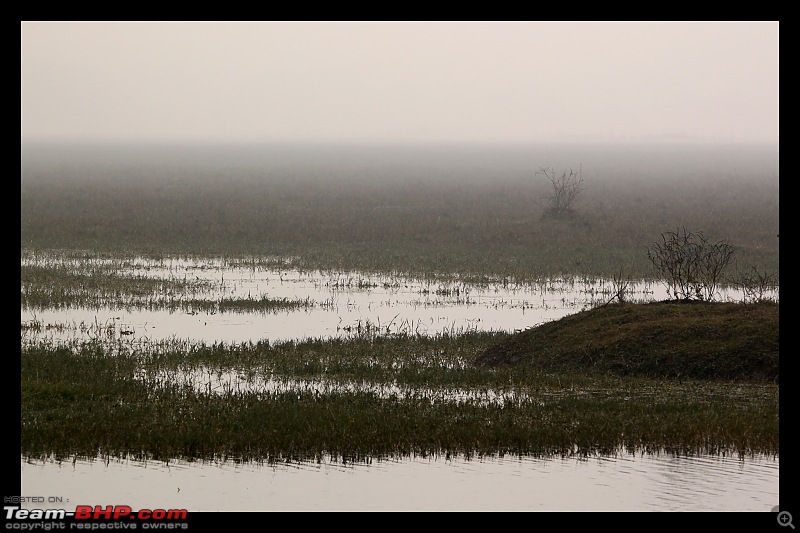 Keoladeo National Park - Bharatpur-0067.jpg