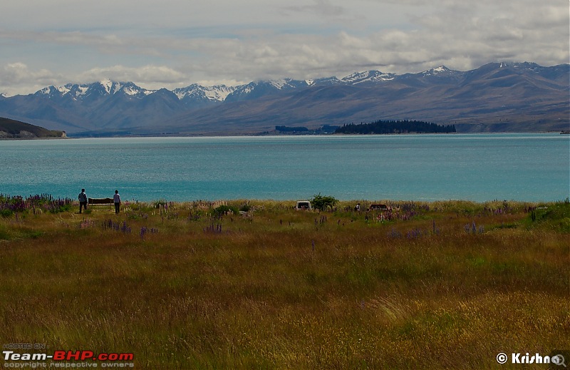 The Dramatic Landscape of South Island, New Zealand-pic14.jpg