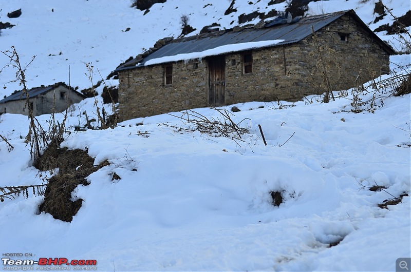 Uttarakhand : A Bone-Chilling Winter Vacation in the "Land of Gods"-_dsc2735.jpg