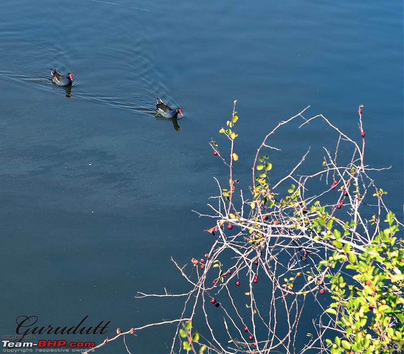 Gurgaon - Sambhar Lake - Ajmer - Jodhpur - Gurgaon-0682.jpg