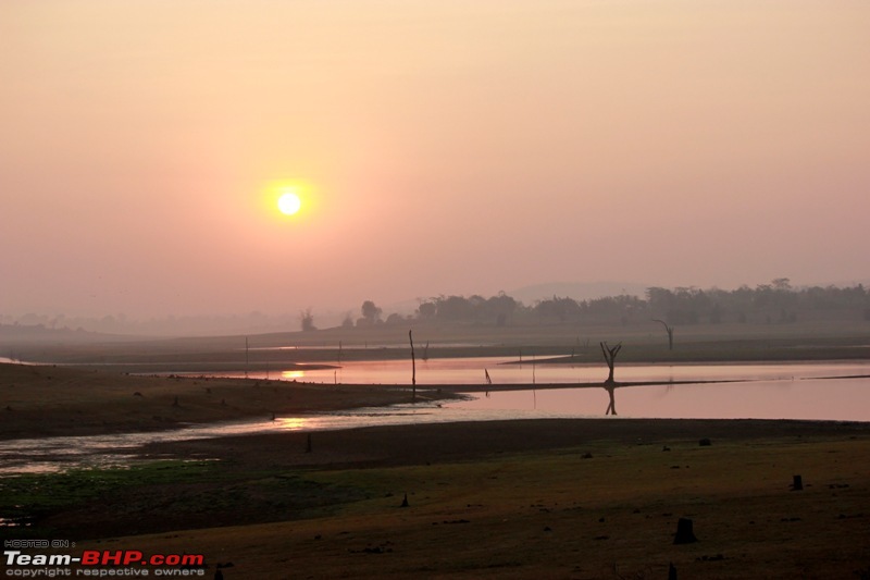 Answered the call of the wild - Kabini-sunrise-1.jpg