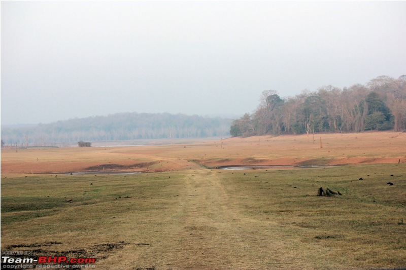 Answered the call of the wild - Kabini-sunrise-9.jpg