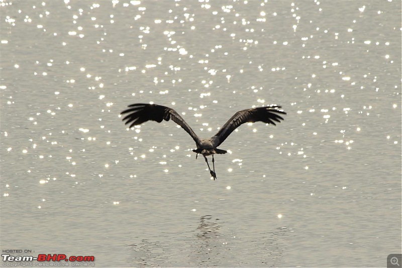 Discover Gujarat : Great Rann of Kutch, Bani Grass Land & Bhuj-img_0554.jpg