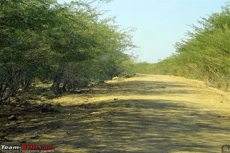 Discover Gujarat : Great Rann of Kutch, Bani Grass Land & Bhuj-img_0892.jpg