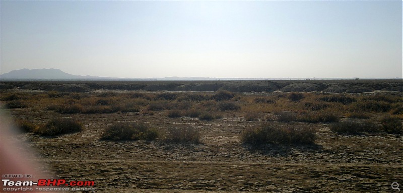 Discover Gujarat : Great Rann of Kutch, Bani Grass Land & Bhuj-20130104380.jpg