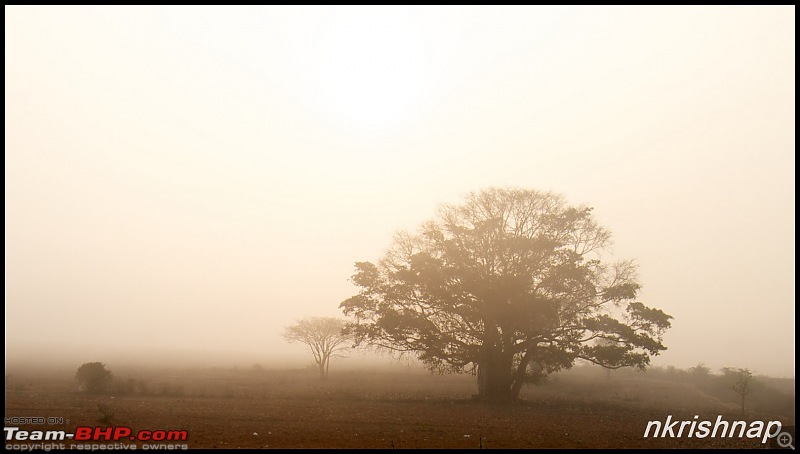 A tale of 2 Lineas in the Wilderness-_mg_4680-copy.jpg