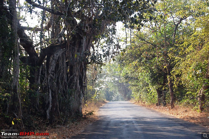 Chronicles of the Forts & Beaches Trip-dsc_0177.jpg