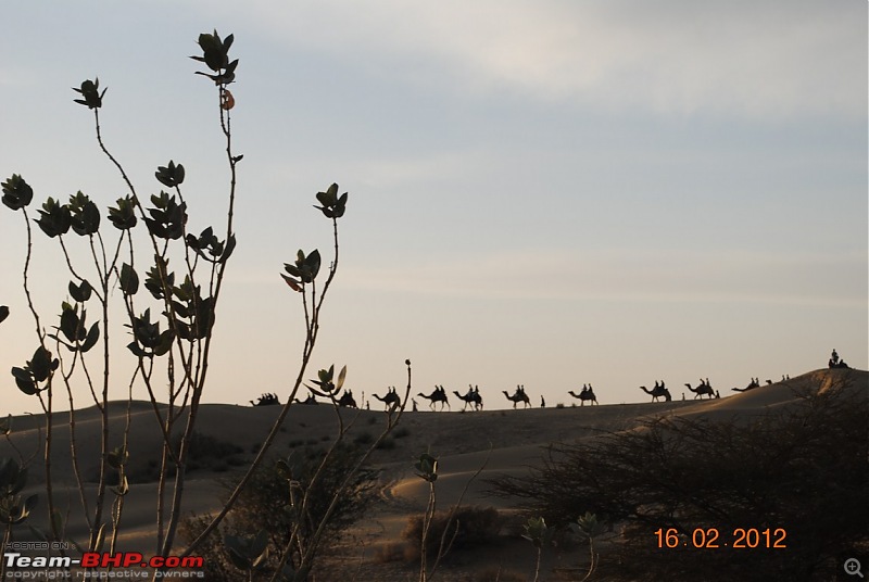 Taking the Thar to the 'Thar'. 2000 kms, 3 childhood friends & an epic roadtrip-dsc_0862-copy.jpg