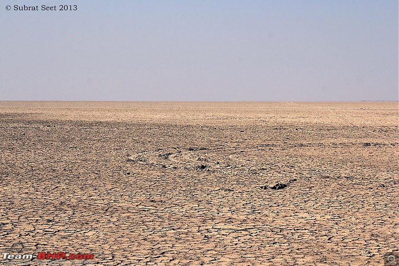 Amazing Mud Desert - Little Rann of Kutch. A Photologue-005-copy.jpg