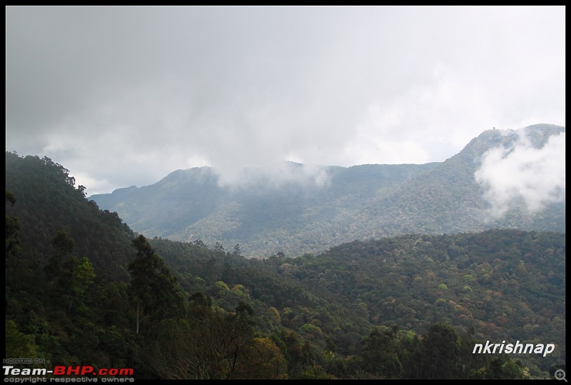 Munnar - February 2013 Edition-img_0881-copy.jpg