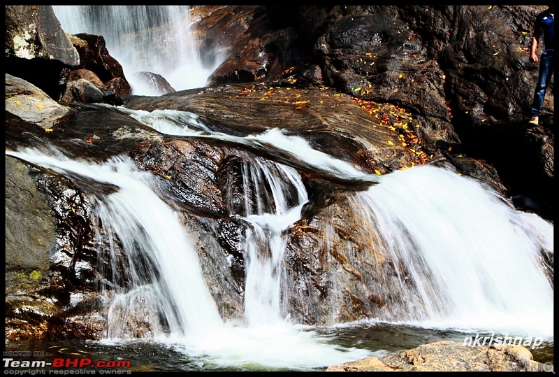 Munnar - February 2013 Edition-img_0949-copy.jpg