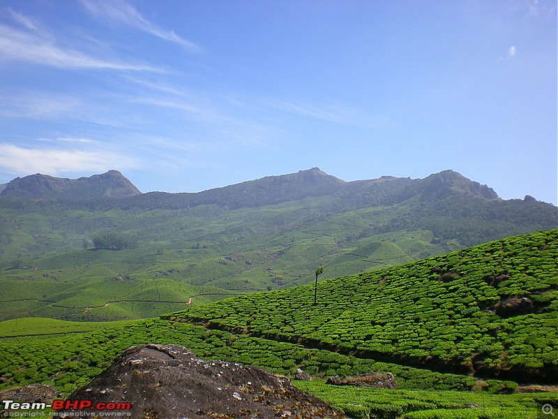 Munnar - February 2013 Edition-picture-007.jpg