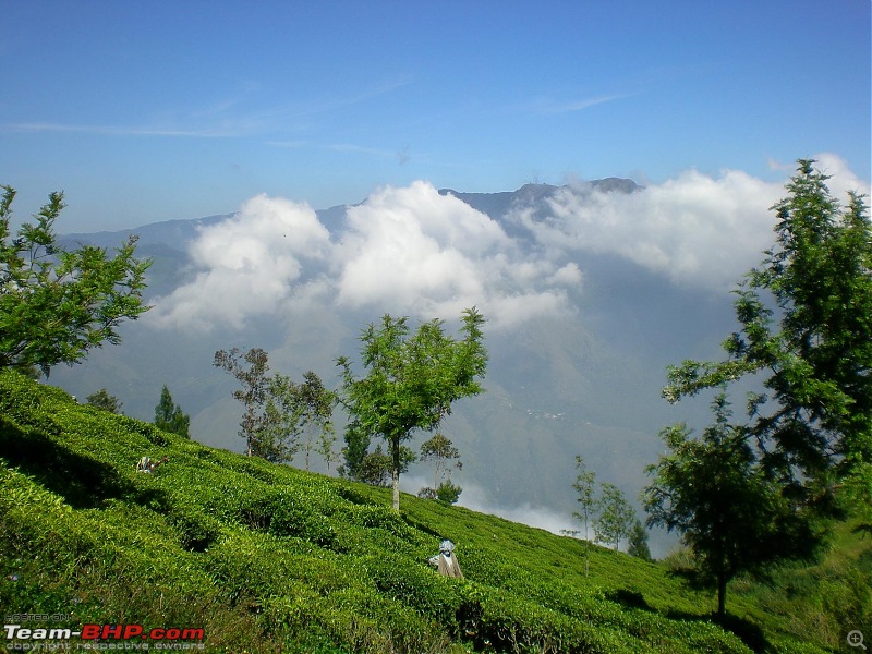 Munnar - February 2013 Edition-picture-058.jpg