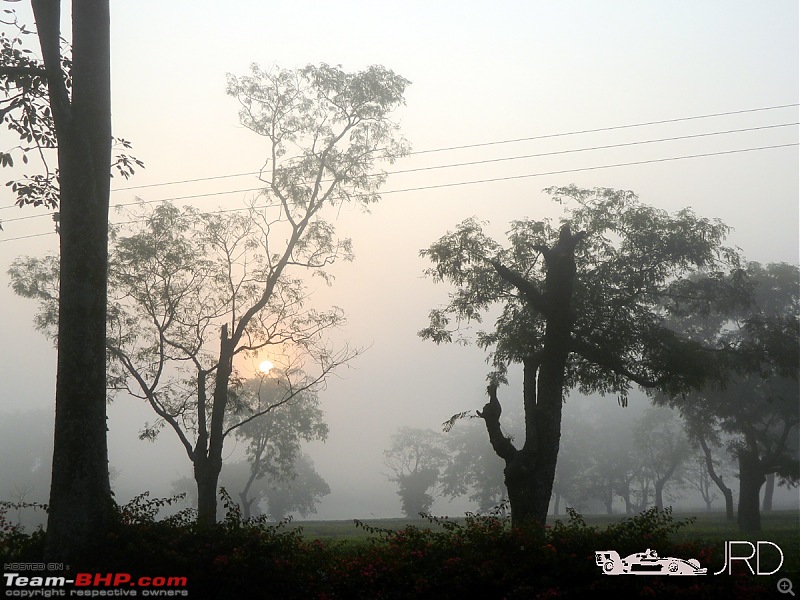 A trip to Dehing Patkai Rain Forest, Dibrugarh (Assam)-dimou6.jpg
