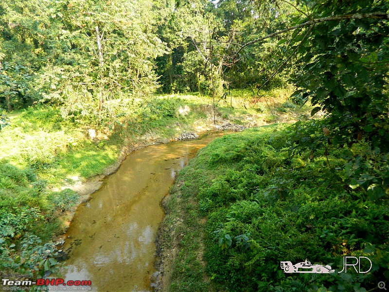 A trip to Dehing Patkai Rain Forest, Dibrugarh (Assam)-jrd8.jpg