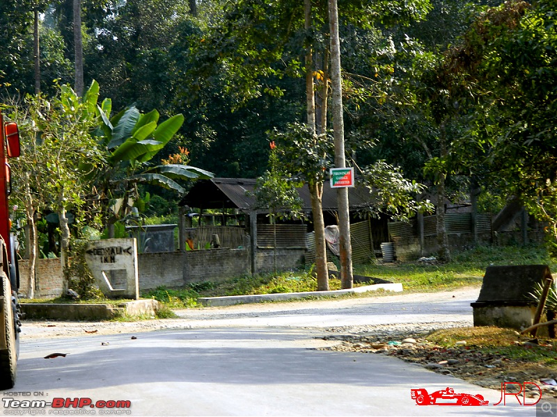 A trip to Dehing Patkai Rain Forest, Dibrugarh (Assam)-jr6.jpg