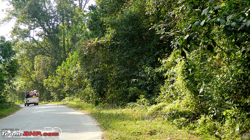 A trip to Dehing Patkai Rain Forest, Dibrugarh (Assam)-jr1.jpg