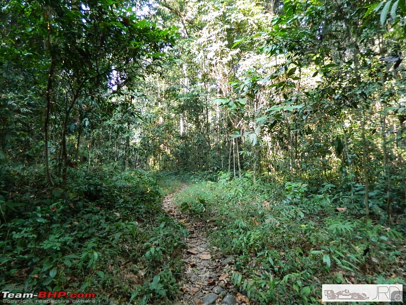 A trip to Dehing Patkai Rain Forest, Dibrugarh (Assam)-jrd1059.jpg