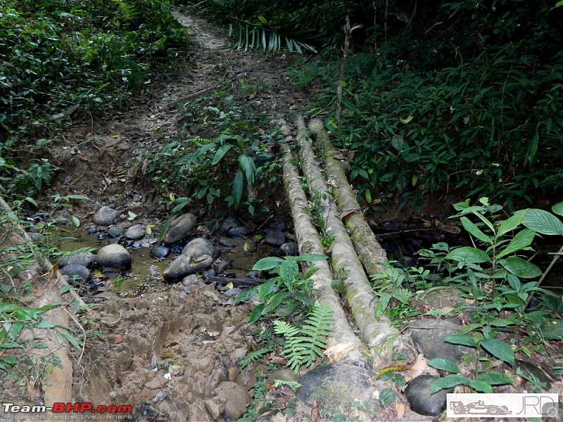 A trip to Dehing Patkai Rain Forest, Dibrugarh (Assam)-10.jpg