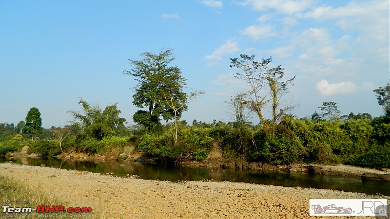 A trip to Dehing Patkai Rain Forest, Dibrugarh (Assam)-b.jpg