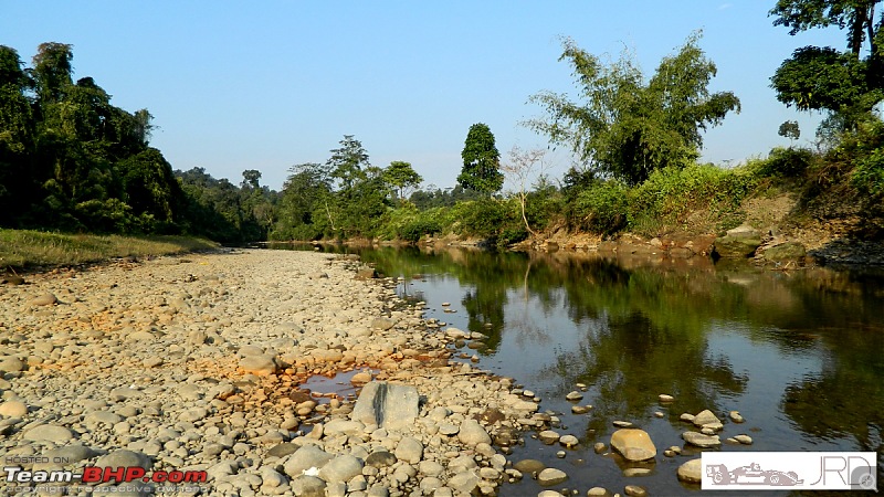 A trip to Dehing Patkai Rain Forest, Dibrugarh (Assam)-f.jpg