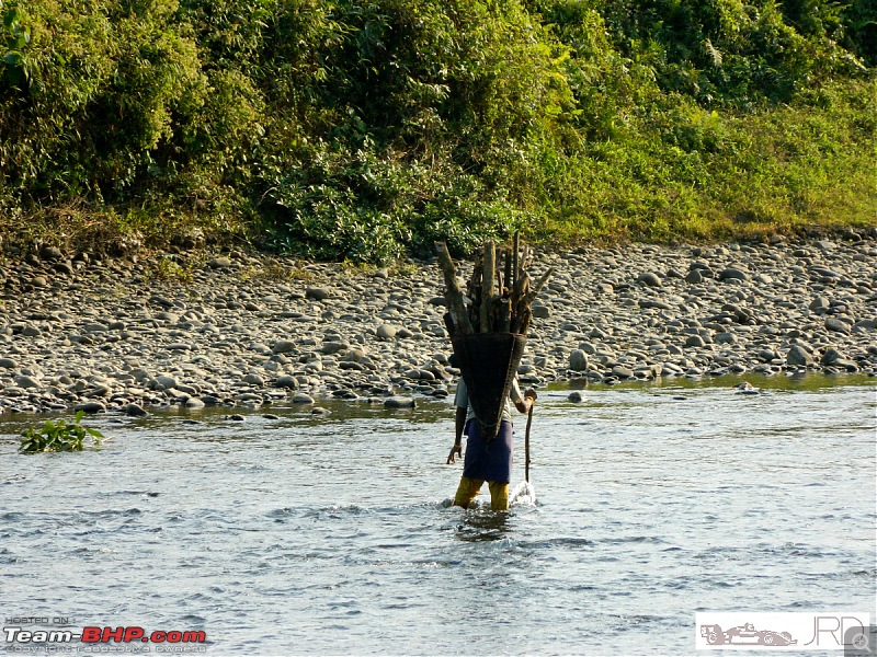 A trip to Dehing Patkai Rain Forest, Dibrugarh (Assam)-j.jpg