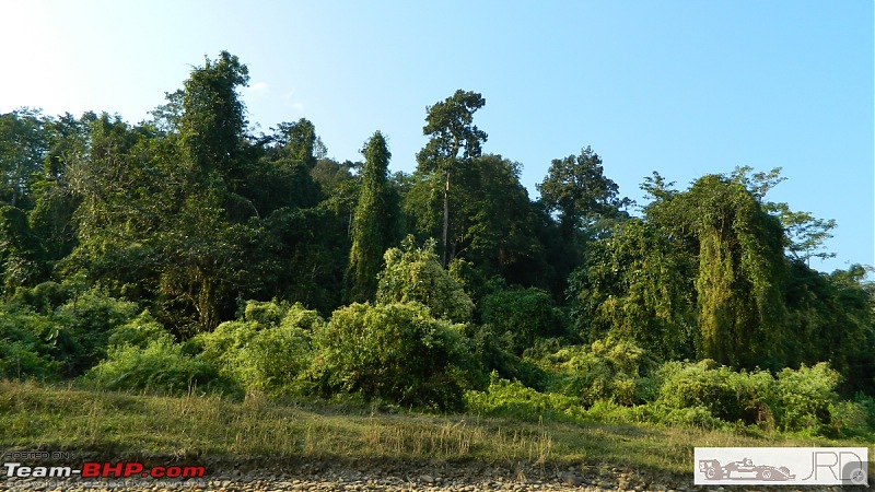 A trip to Dehing Patkai Rain Forest, Dibrugarh (Assam)-p.jpg