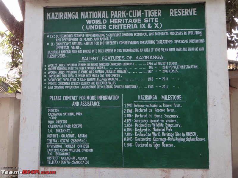 Kaziranga - The pride of Assam-dsc02954.jpg