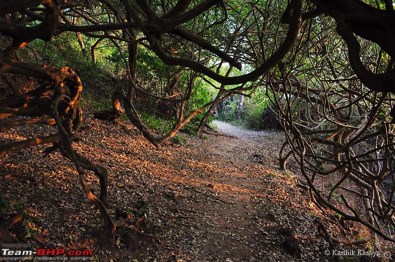 Trespassers will be captivated: Exploring Kurumgad Island-dsc_0197.jpg