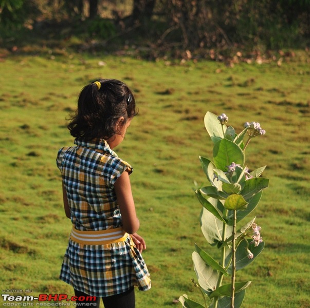 Photolog : A Sunday morning with Butterflies-02-dsc_1415.jpg