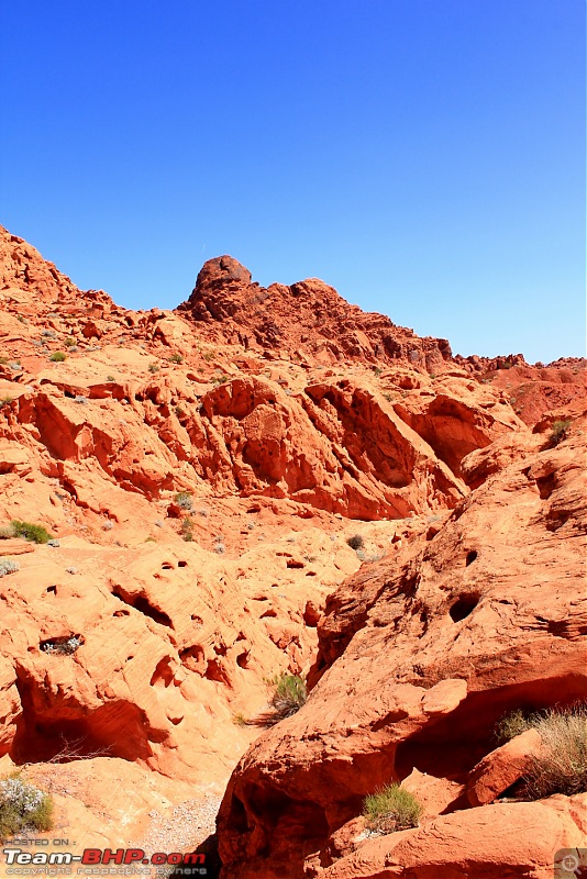 My Corvette & the Valley of Fire State Park-img_4194-967x1450.jpg