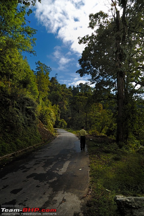 Mystical Borong - A Birder's Paradise-raw-48_dsc0080.jpg