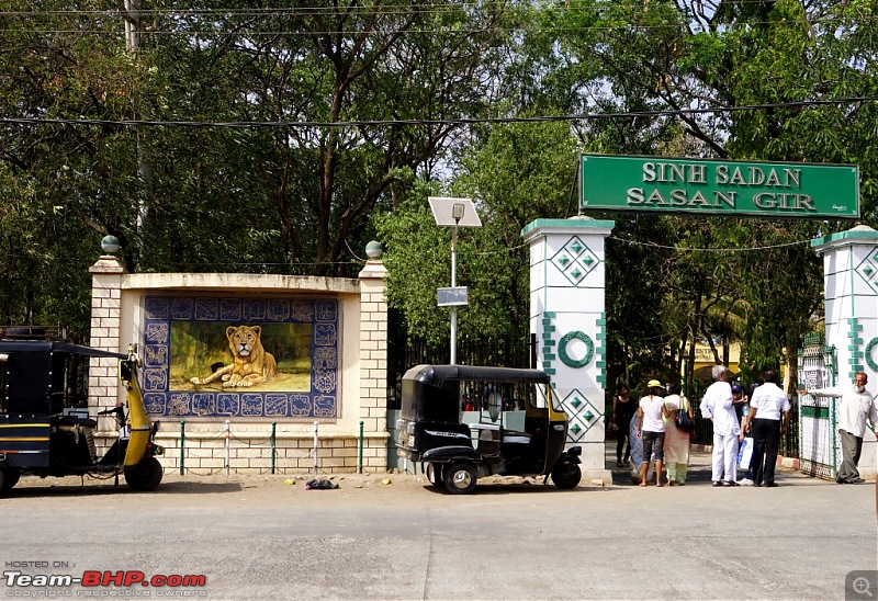 Hawk-On-Fours (H-4) Roadtrip: Reminiscences of Gir Forest-sinhsadangate.jpg