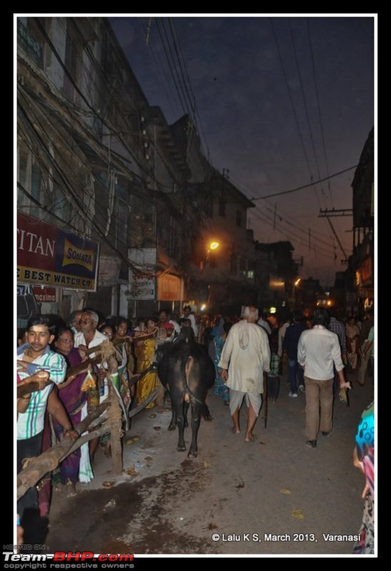 Aveod : Allahabad and Varanasi on Mahashivrathri day of MahaKumbh 2013-dsc_5252.jpg