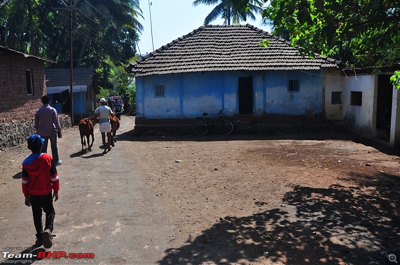 Reliving the innocence at a rustic Konkan village (Velas turtle festival)-017-dsc_1667.jpg
