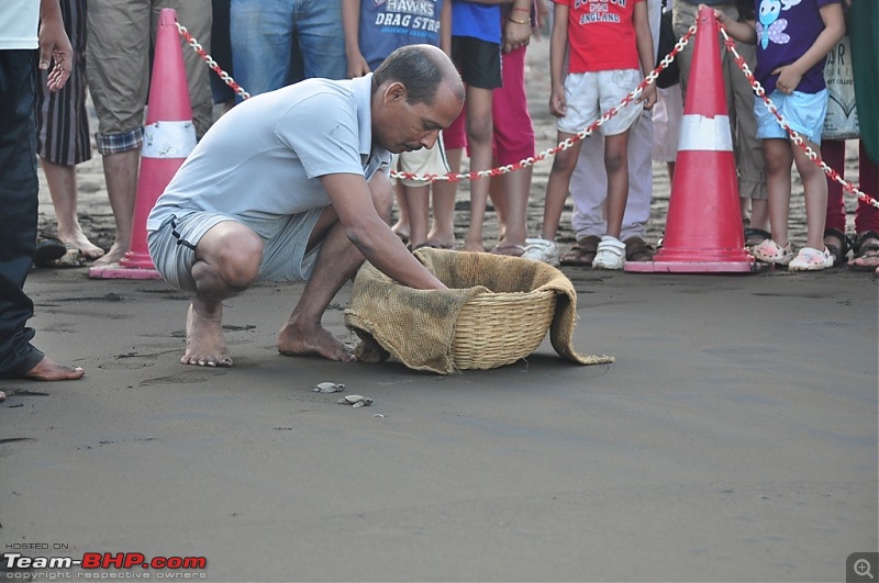 Reliving the innocence at a rustic Konkan village (Velas turtle festival)-013-dsc_2076.jpg