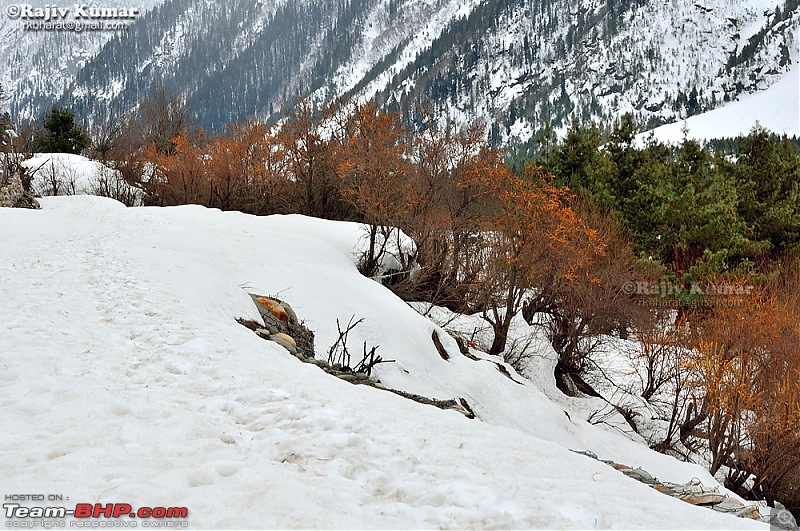 Hunting for Snow - Kinnaur 2013-day-2.3-9.jpg