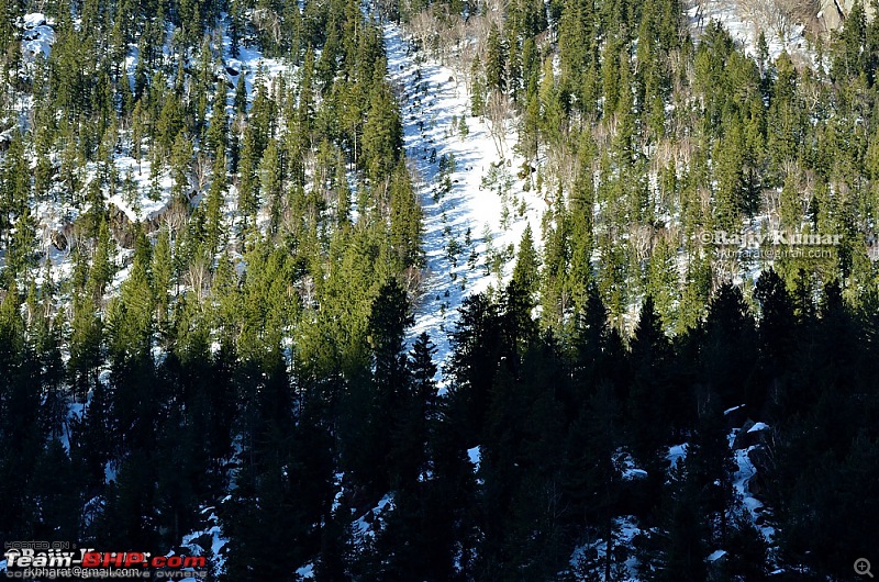 Hunting for Snow - Kinnaur 2013-day-3.1-20.jpg