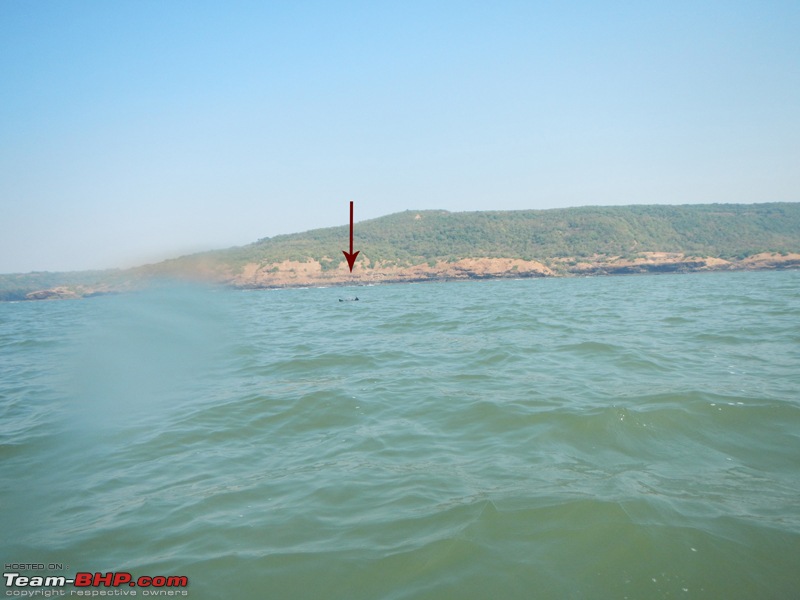 Going solo at 5 kmph - Mumbai to Goa in an inflatable kayak!-dolphin.jpg