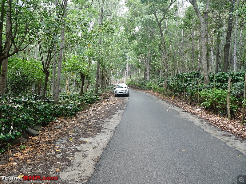 A Yercaud Sojourn-looproad4.jpg