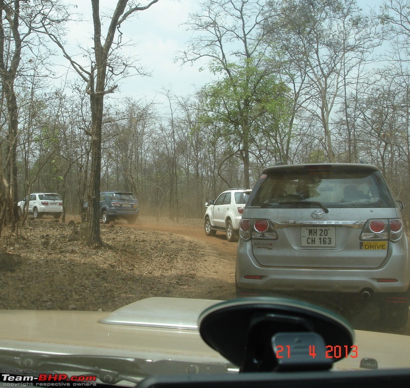 The Fortuner Posse rides again - Into the Jungle!-dsc01859.jpg