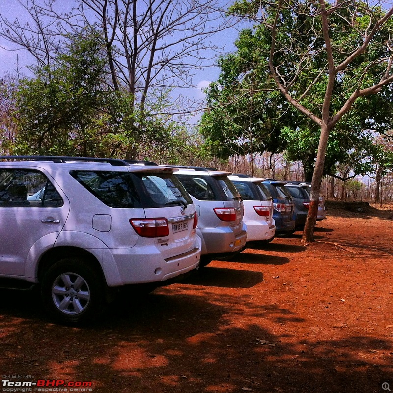 The Fortuner Posse rides again - Into the Jungle!-photo-5.jpg